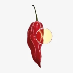 Hombre LOEWE 7 ELIXIR