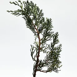 Hombre LOEWE 001 MAN