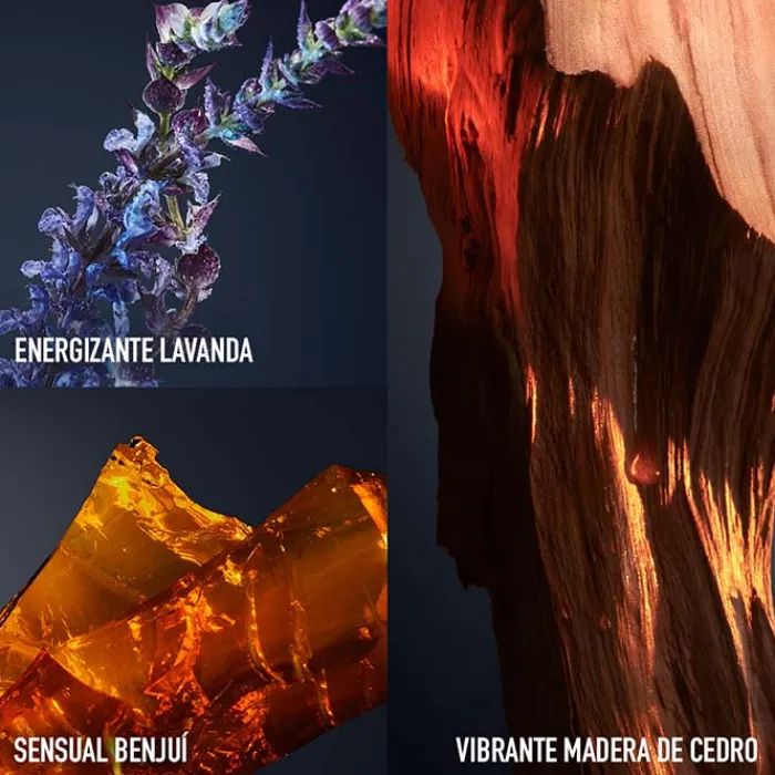 Hombre RABANNE 1 MILLION ROYAL