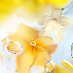 Mujer LANCÔME Ô ZENITH