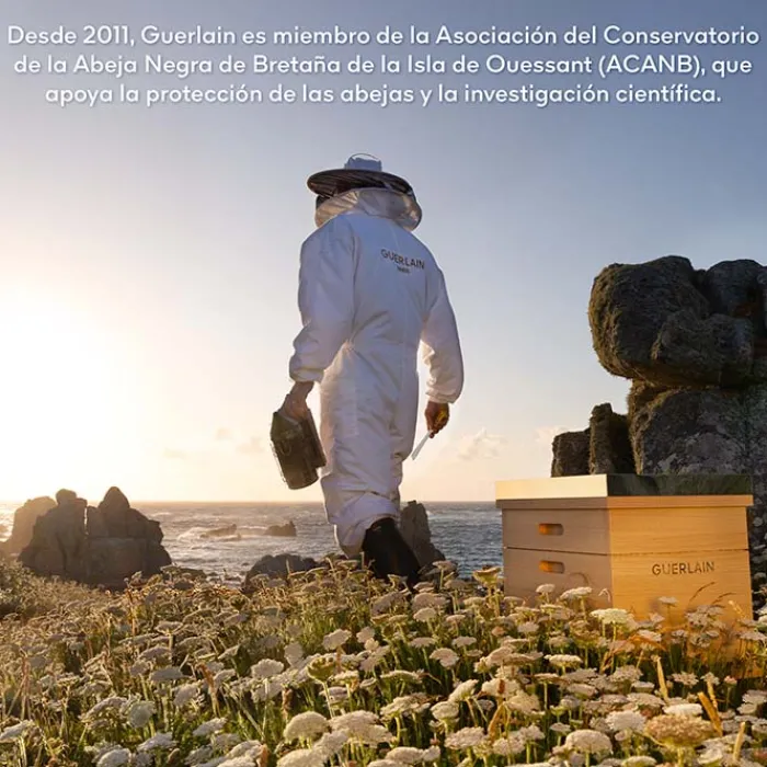 Hombre GUERLAIN Abeille Royale Aceite Sérum Acuoso de Juventud Estuche