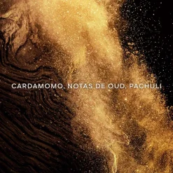 Mujer GUERLAIN Absolus Allegoria Épices Exquises