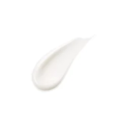 Hombre SENSAI Absolute Silk Illuminative Cream