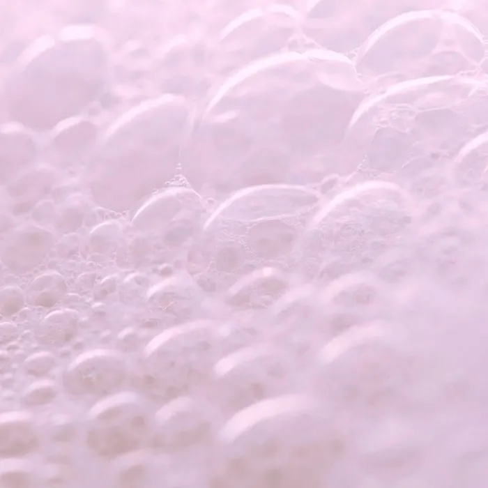 Anian Acondicionador Bifásico Protección Color