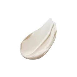 ESTÉE LAUDER Advanced Night Repair Overnight Treatment