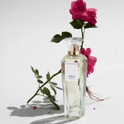 Mujer ADOLFO DOMÍNGUEZ Agua Fresca de Rosas