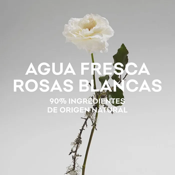 Mujer ADOLFO DOMÍNGUEZ Agua Fresca de Rosas Blancas