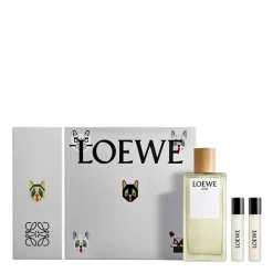 Mujer LOEWE AIRE Cofre