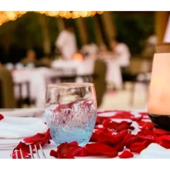 Foresan Ambientador Concentrado Blossom