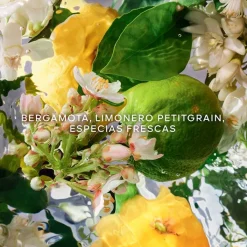 Mujer GUERLAIN Aqua Allegoria Bergamota Calabria