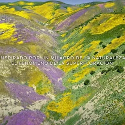 Mujer GUERLAIN Aqua Allegoria Florabloom