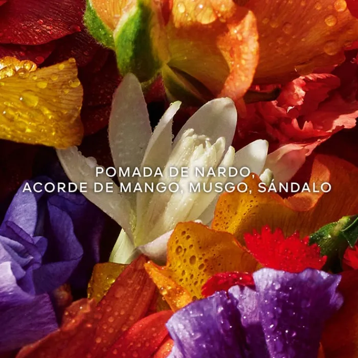 Mujer GUERLAIN Aqua Allegoria Forte Florabloom