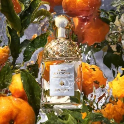 Mujer GUERLAIN Aqua Allegoria Mandarine Basilic