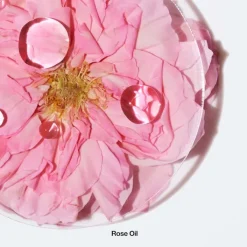 Mujer CLINIQUE Aromatics Elixir