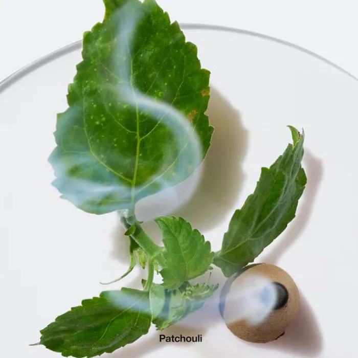 Mujer CLINIQUE Aromatics Elixir