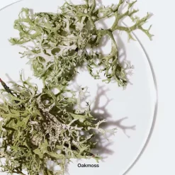 Mujer CLINIQUE Aromatics Elixir