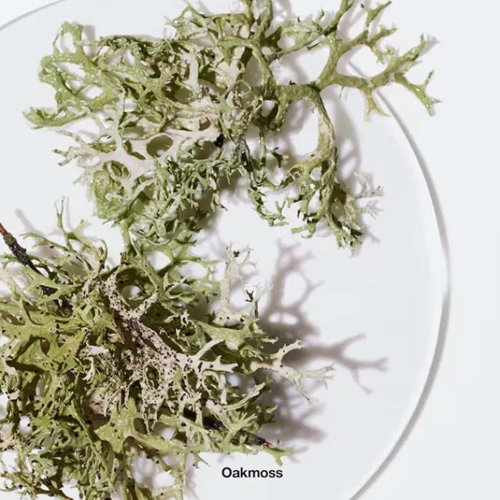 Mujer CLINIQUE Aromatics Elixir