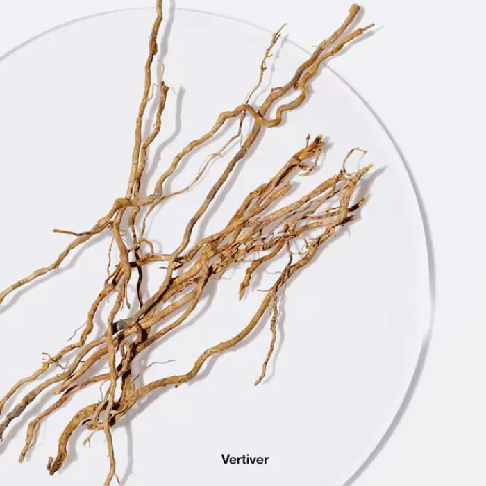 Mujer CLINIQUE Aromatics Elixir