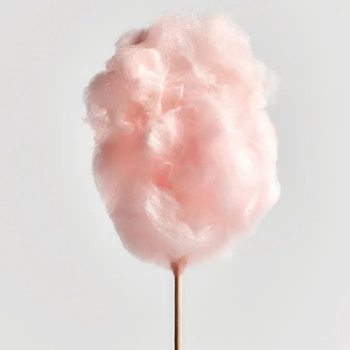 Mujer LOEWE AURA WHITE MAGNOLIA