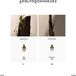 Hombre ADOLFO DOMÍNGUEZ Ébano Salvia