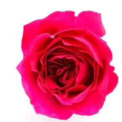 Mujer ARMANI BECAUSE IT'S YOU