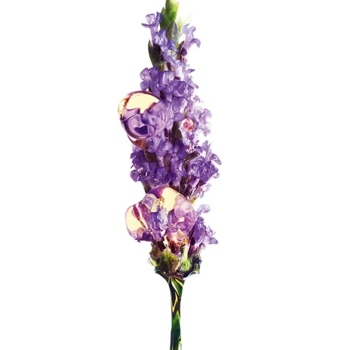 Garnier Bio Crema de Día Anti-Edad