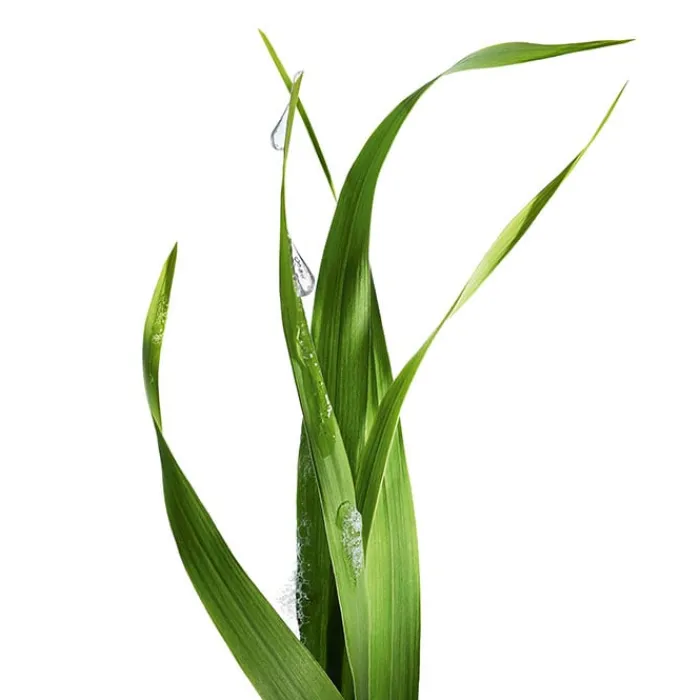 Garnier Bio Gel Limpiador Detox