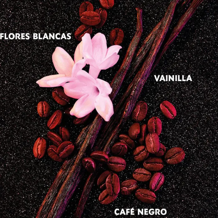 Mujer YVES SAINT LAURENT BLACK OPIUM