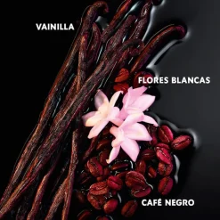 Mujer YVES SAINT LAURENT BLACK OPIUM LE PARFUM