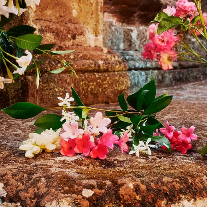 Mujer GUCCI BLOOM EDT