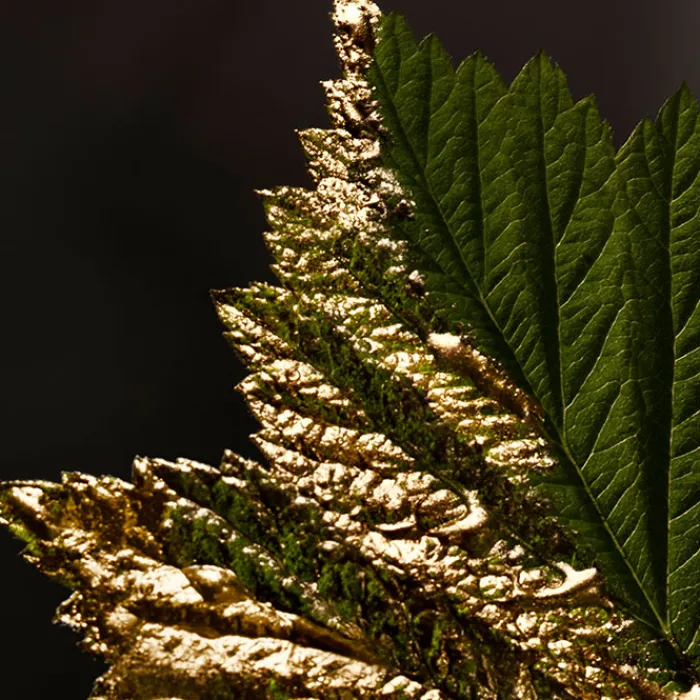 Hombre HUGO BOSS BOSS BOTTLED ABSOLU