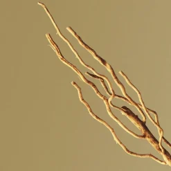 Hombre HUGO BOSS BOSS BOTTLED EDP