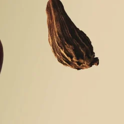 Hombre HUGO BOSS BOSS BOTTLED EDP