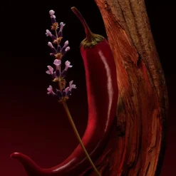 Hombre HUGO BOSS BOSS THE SCENT ELIXIR