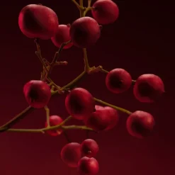 Mujer HUGO BOSS BOSS THE SCENT ELIXIR For Her