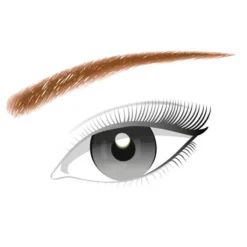 L'Oréal Brow Artist Designer