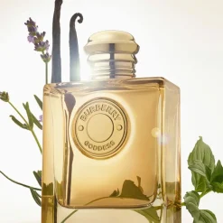 Mujer BURBERRY GODDESS INTENSE