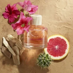 Mujer Hollister Canyon Escape Her