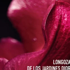 Dior CAPTURE TOTALE C.E.L.L ENERGY Contorno de Ojos