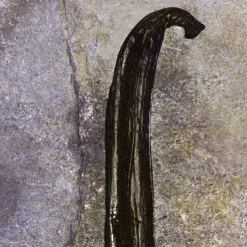 Mujer CHLOÉ NOMADE NUIT D'EGYPTE