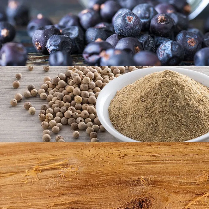 Mujer CALVIN KLEIN CK BE