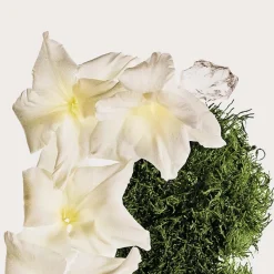 CALVIN KLEIN CK Cotton Musk Hair & Body Mist