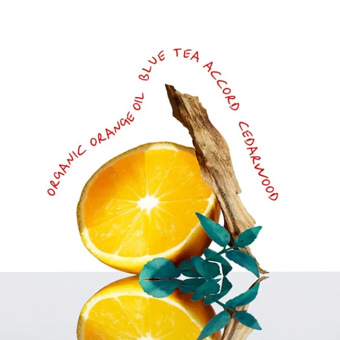 Mujer CALVIN KLEIN CK EVERYONE