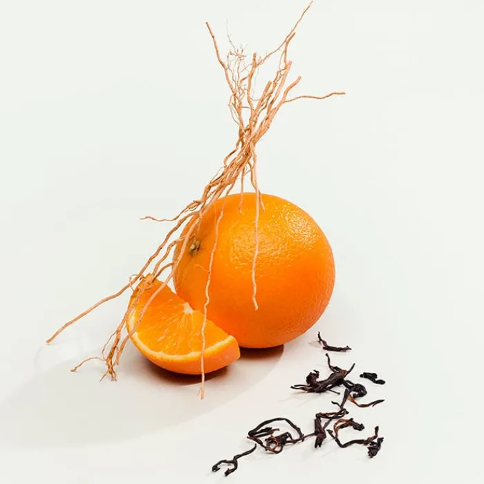 Mujer CALVIN KLEIN CK EVERYONE EDP