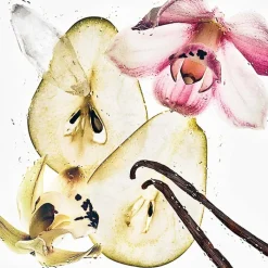 CALVIN KLEIN CK Nude Vanilla Hair & Body Mist