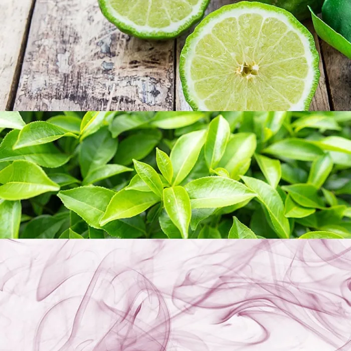 Mujer CALVIN KLEIN CK ONE