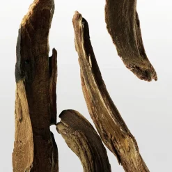 Mujer CALVIN KLEIN CK ONE ESSENCE