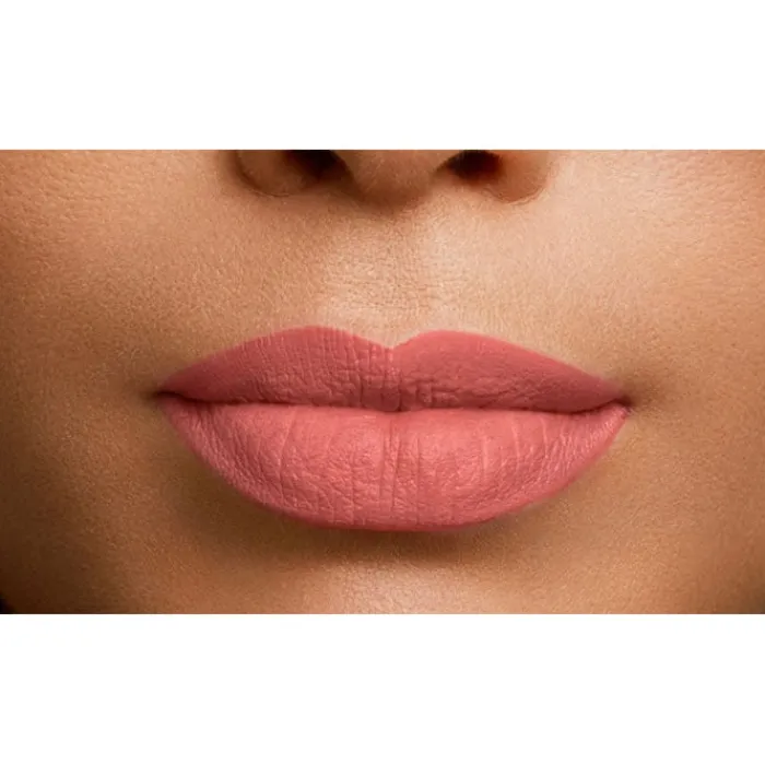 L'Oréal Color Riche Accords Naturels