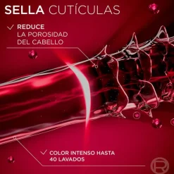 Elvive COLOR-VIVE Champú Protector