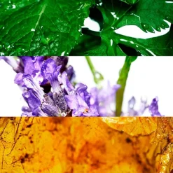 Hombre DAVIDOFF COOL WATER